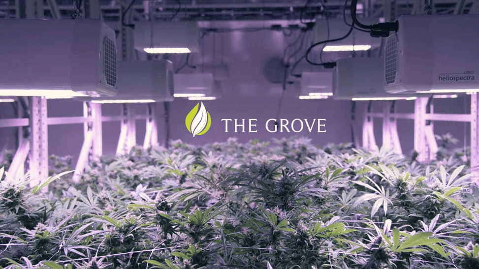 Mobile Vertical Grow Rack System Helped the Grove Increase Yields and Maximize Profits