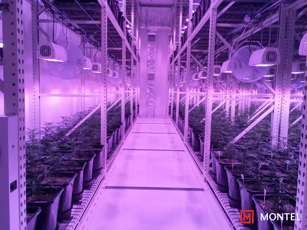 High Density Cultivation Systems